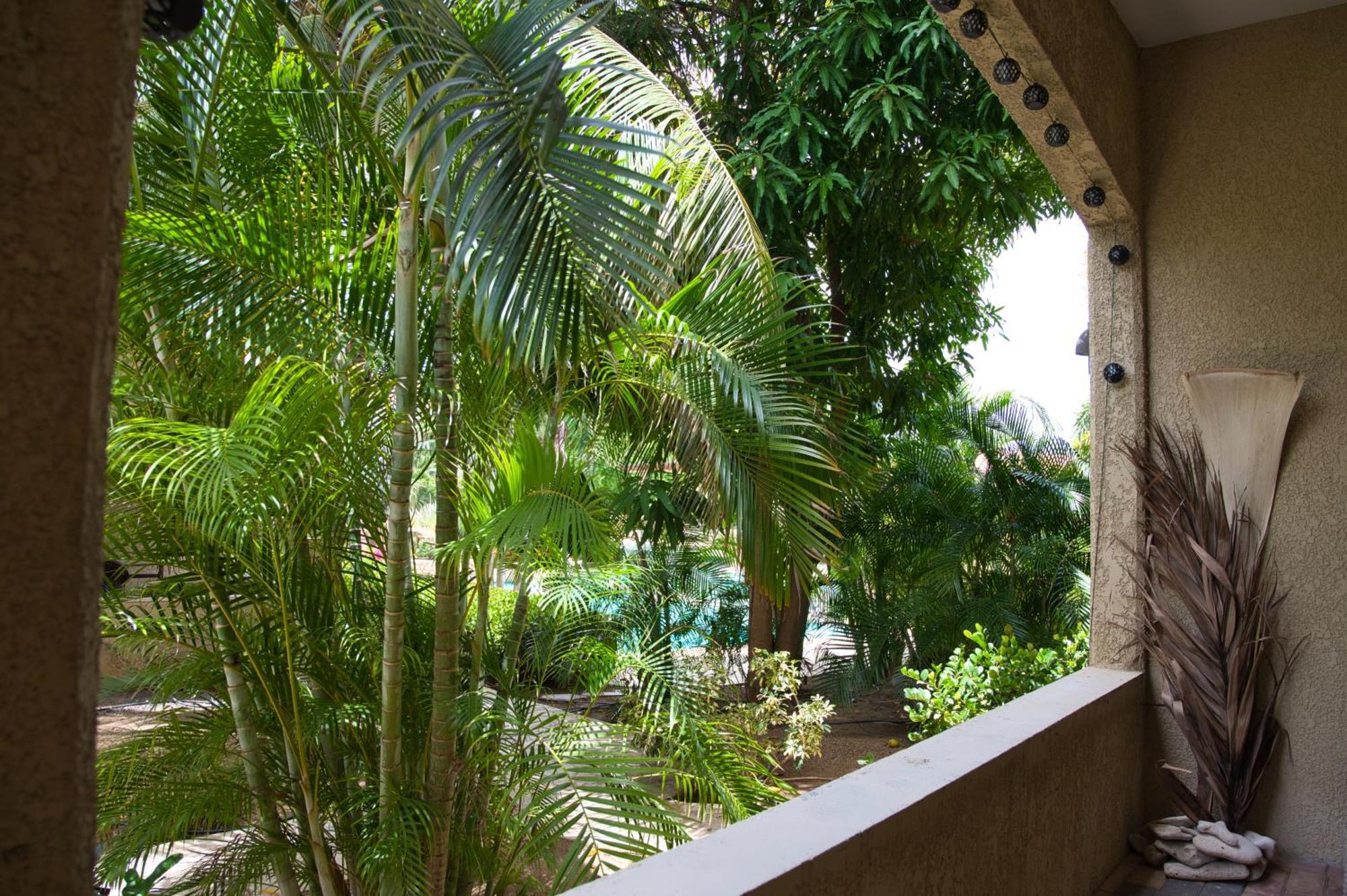 Ferienwohnung Caribbean Happyness Willemstad Exterior foto